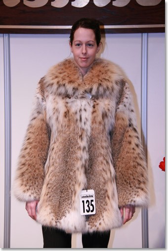 Chat lynx | Furs | Elysee Furs - Montreal Fur Company